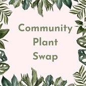 image with green text reading "community plant swap" surrounded by images of leaves