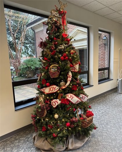 holiday tree covered in natural materials, red ribbon, and ornaments positioned in an RPL Headquarters hallway
